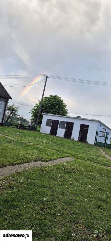 dom wolnostojący, 3 pokoje Myśliborzyce. Zdjęcie 3