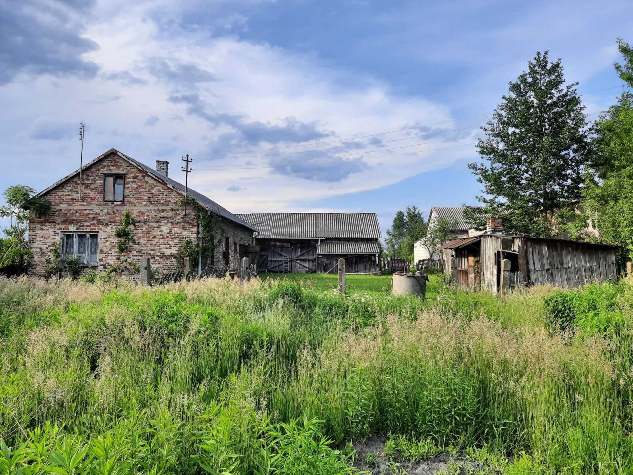 Działka rolno-budowlana Żwirówka. Zdjęcie 5