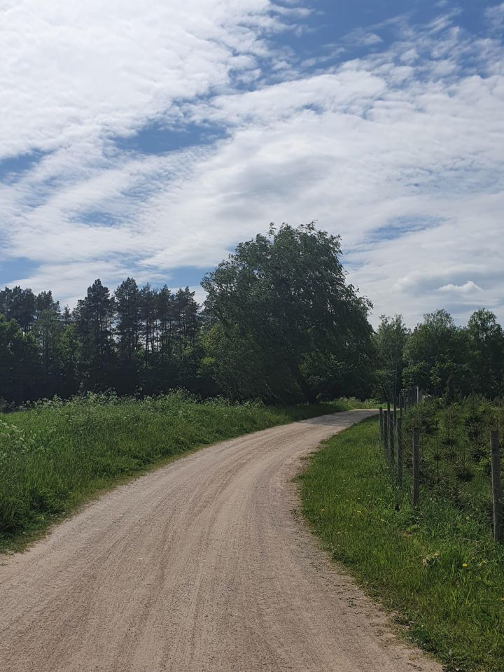 Działka rolno-budowlana Czerwonki. Zdjęcie 3