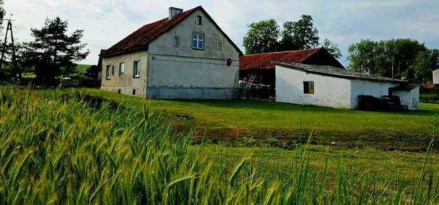 siedlisko, 4 pokoje Pierwągi. Zdjęcie 5