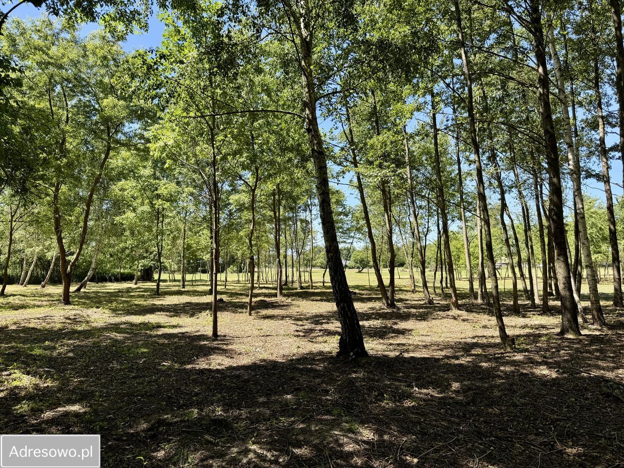 Działka budowlana Antoninów. Zdjęcie 16