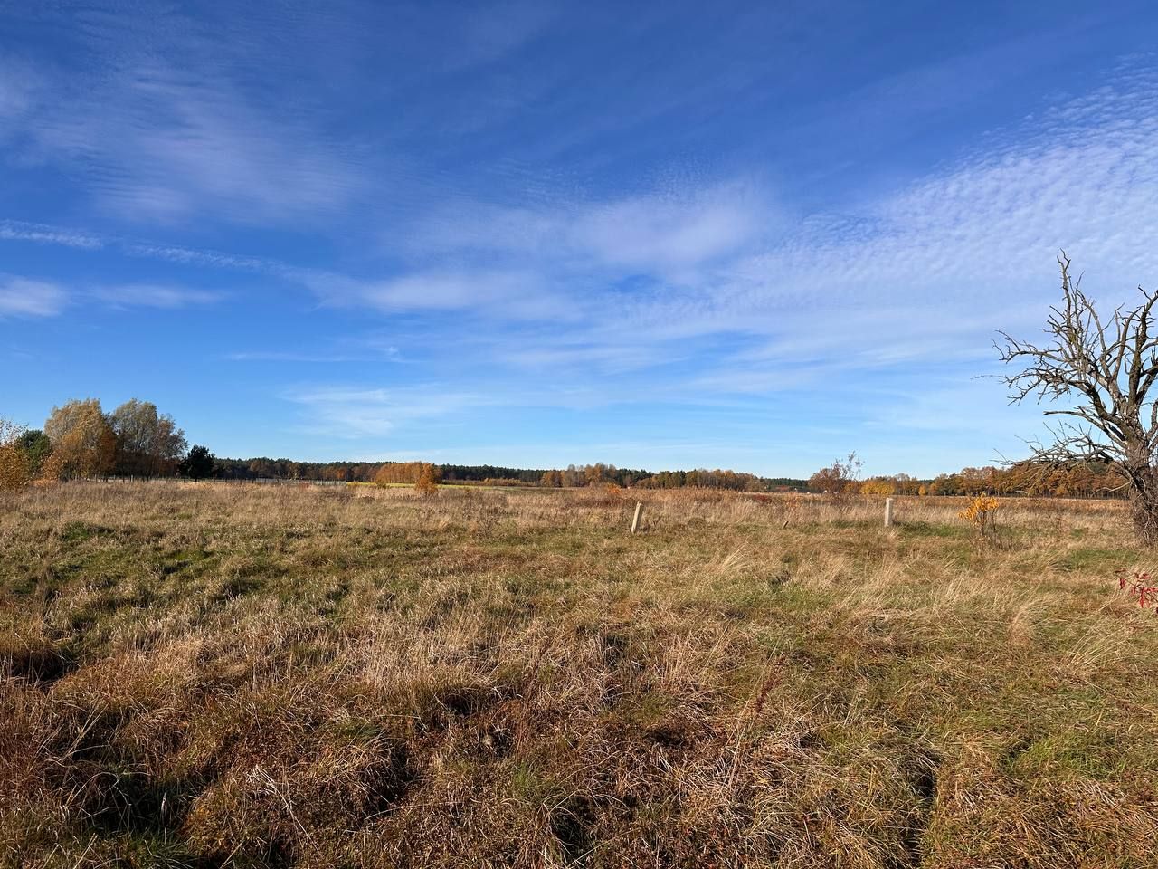 Działka budowlana Chudzowice. Zdjęcie 11