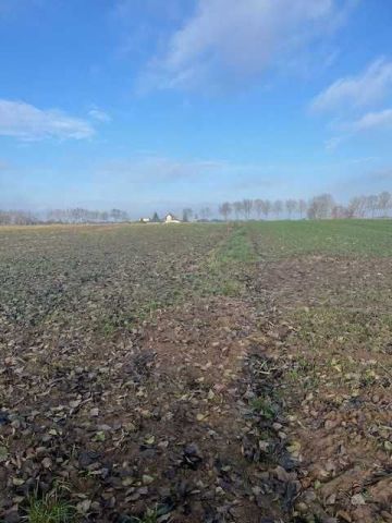 Działka rolno-budowlana Konopnica. Zdjęcie 1