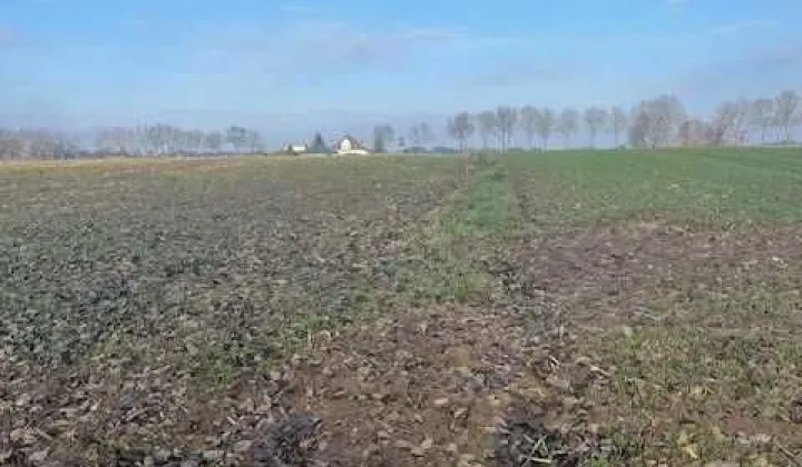 Działka rolno-budowlana Konopnica