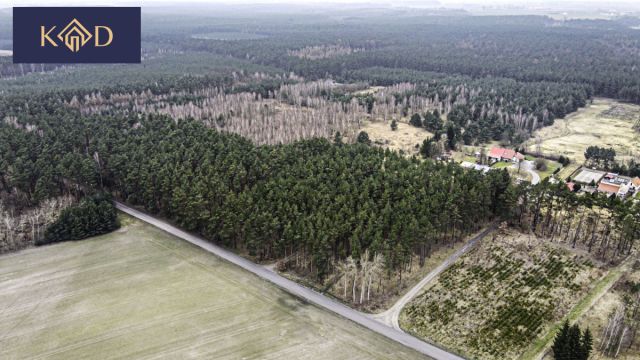 Działka inwestycyjna Dąbrowa Nowa. Zdjęcie 6