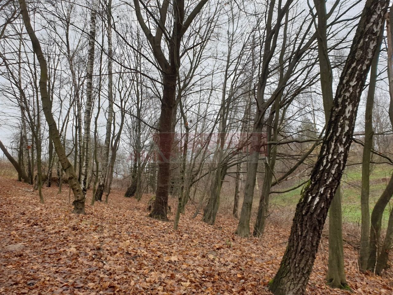 Działka budowlana Lipniak. Zdjęcie 4