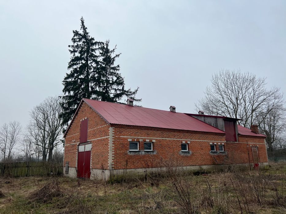 gospodarstwo Grabówka. Zdjęcie 3