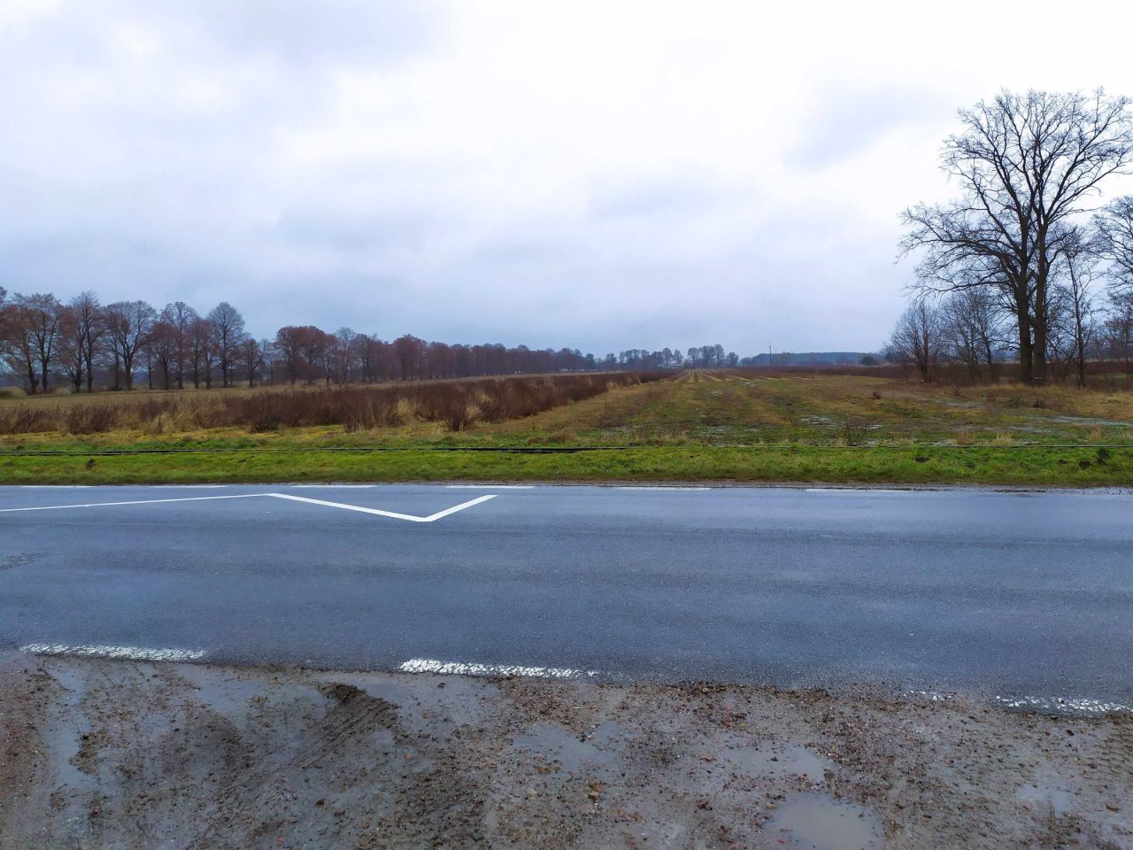 Działka rolna Tułowice. Zdjęcie 3