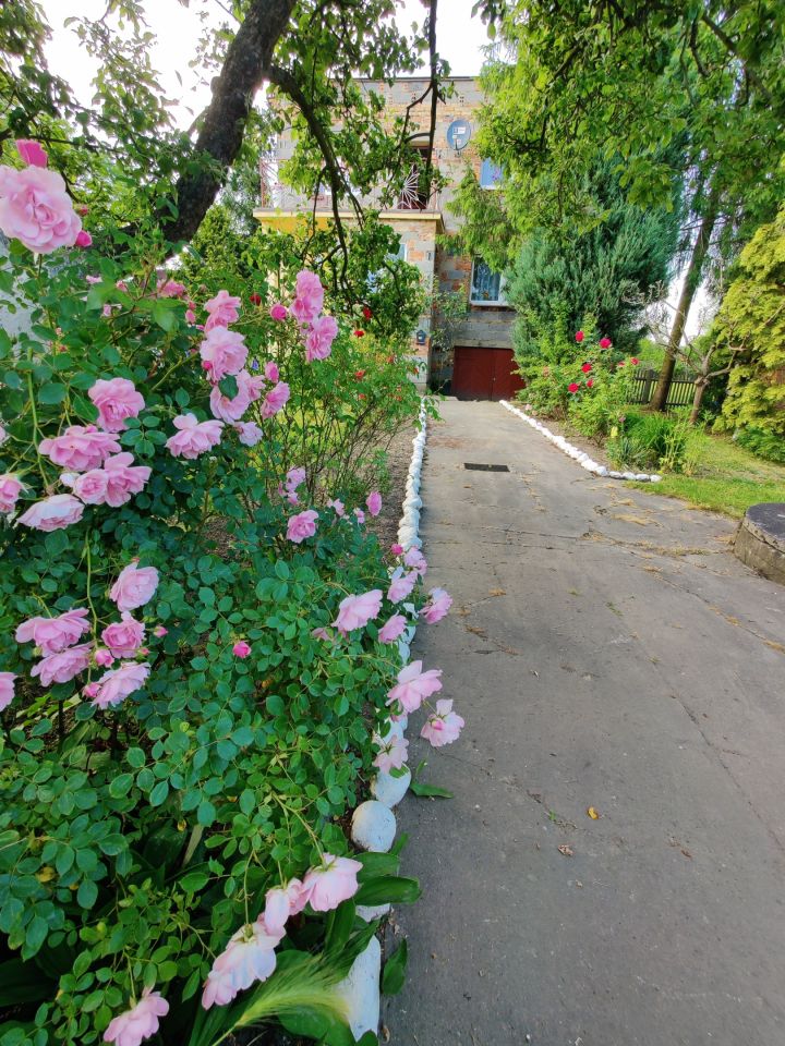 dom wolnostojący, 6 pokoi Gościeszowice. Zdjęcie 29