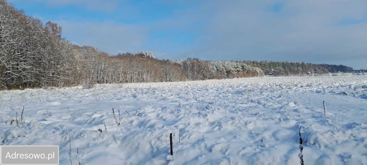Działka rekreacyjna Kierzkowo. Zdjęcie 5