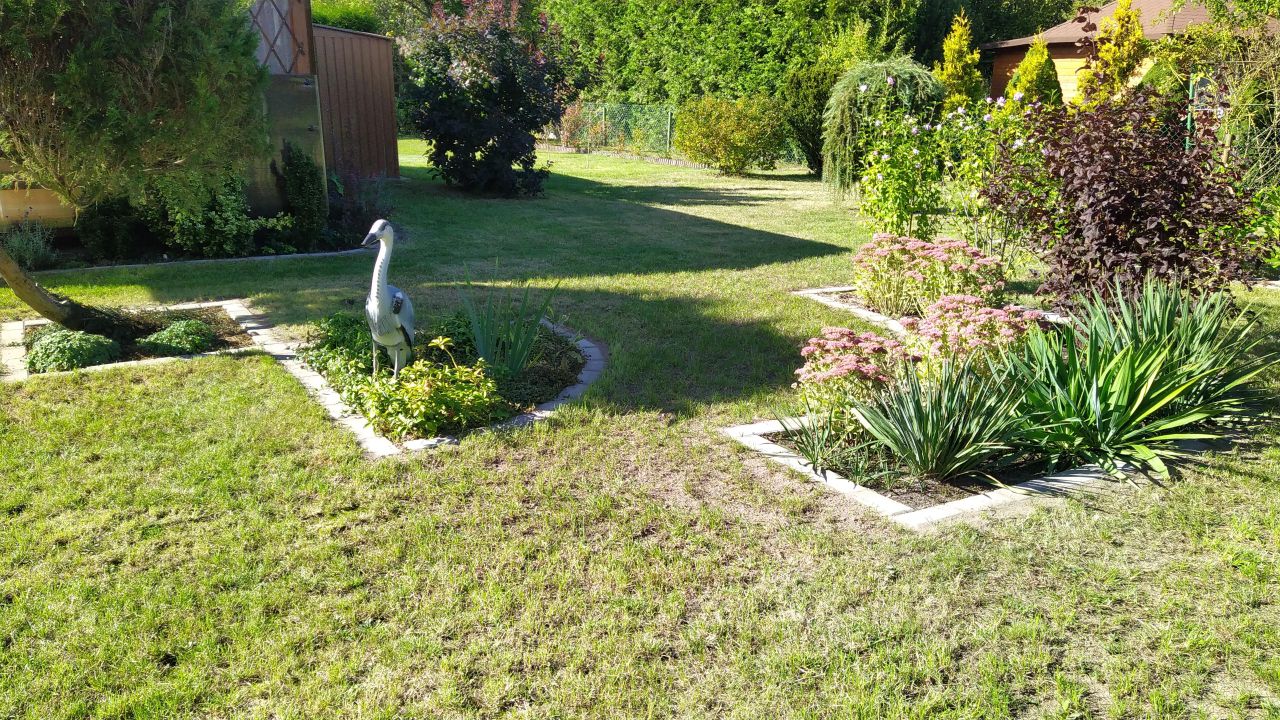 Działka rod Styrzyniec, Al. Krokusów. Zdjęcie 6