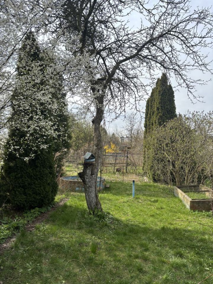 Działka rod Tarnowskie Góry, ul. Opolska. Zdjęcie 7