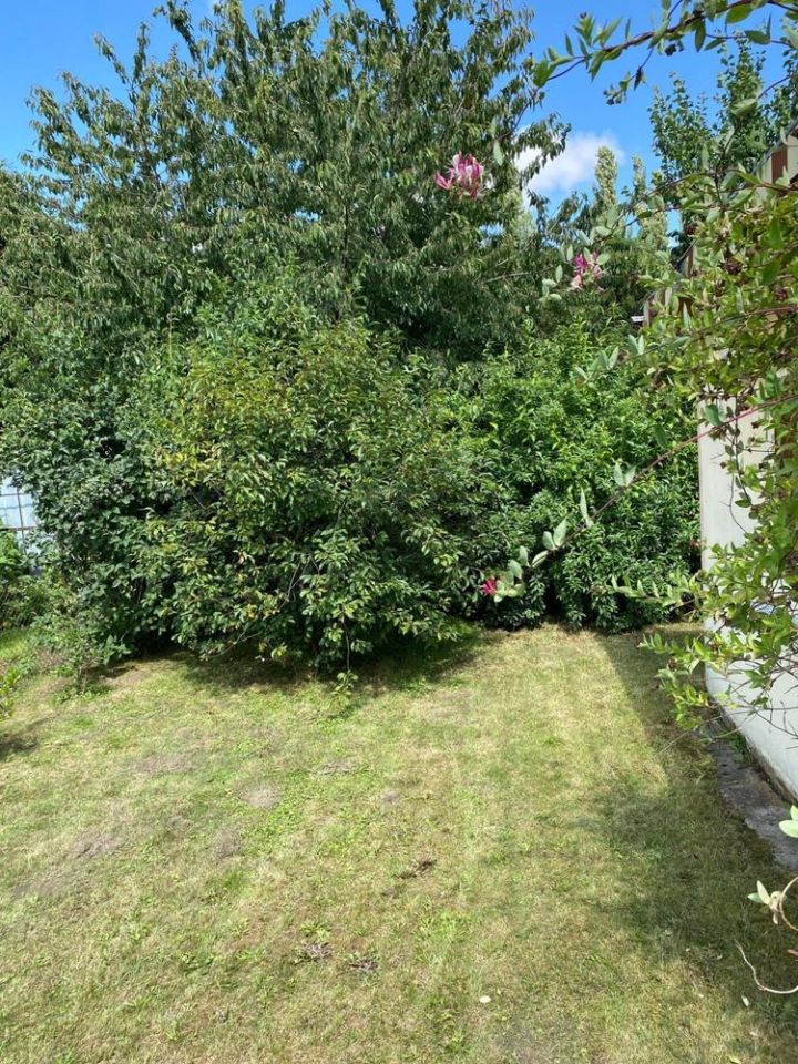 Działka rod Tczew. Zdjęcie 8