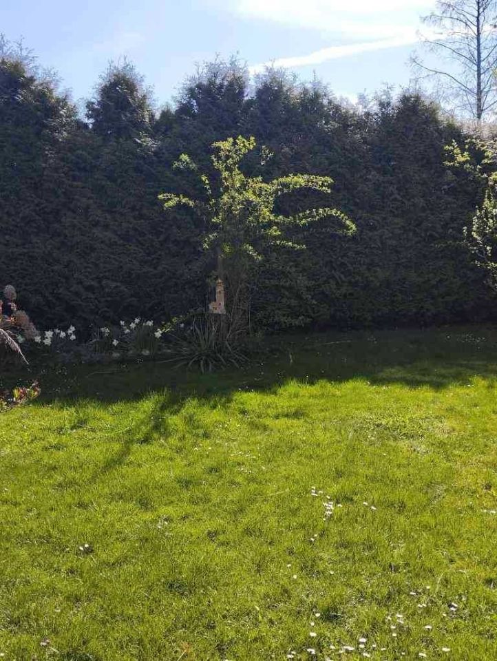 dom wolnostojący Głubczyce. Zdjęcie 8