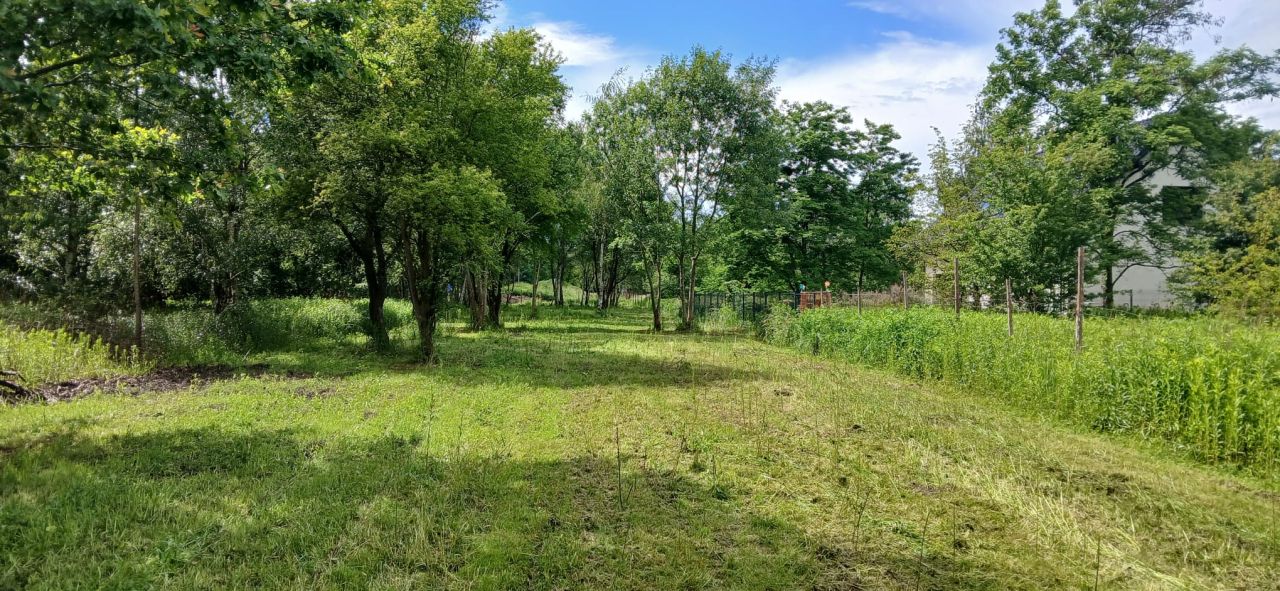 Działka budowlana Pęgów, ul. Adama Mickiewicza. Zdjęcie 7