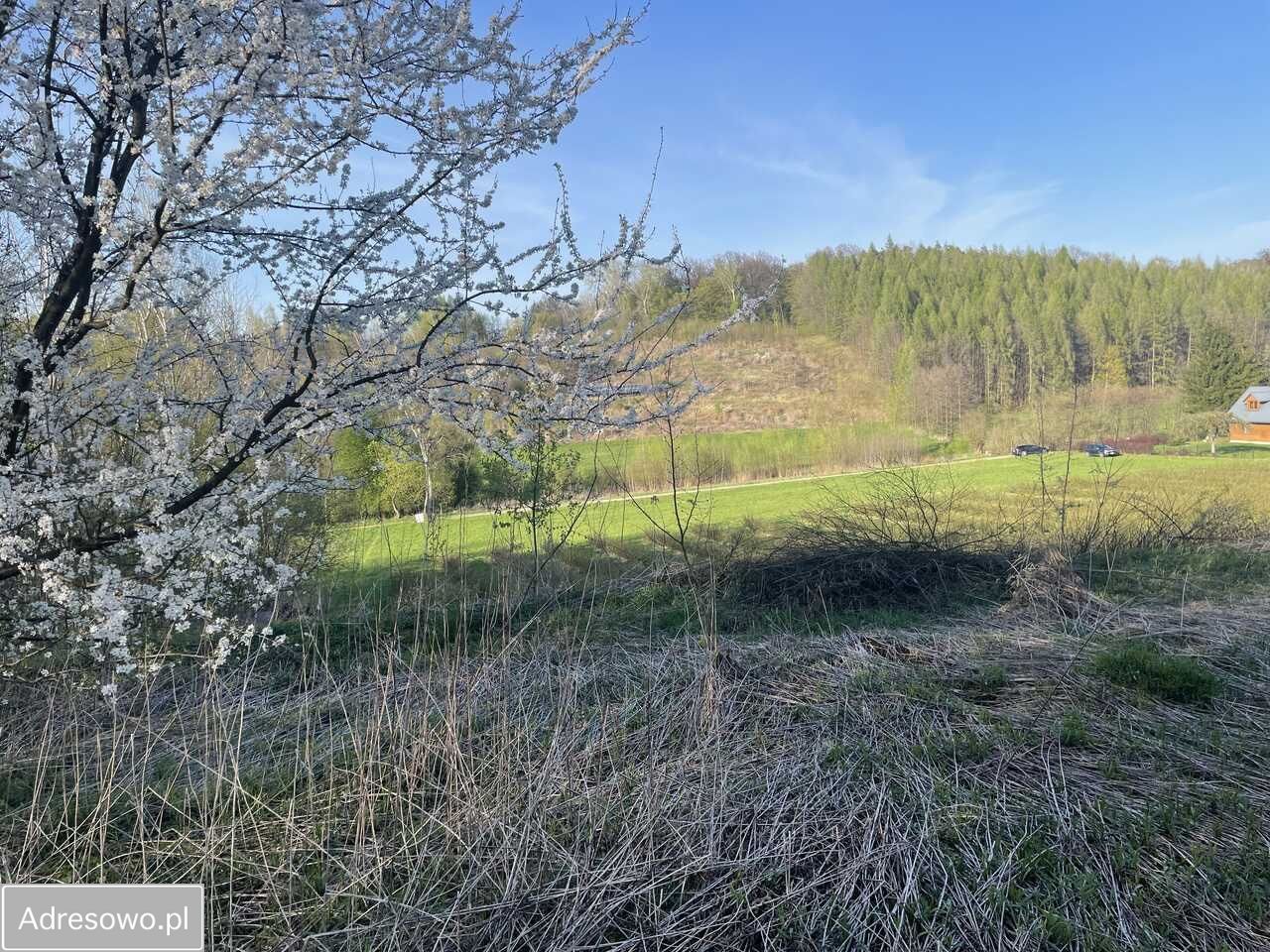 Działka budowlana Kazimierz Dolny. Zdjęcie 9