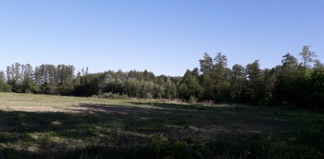 Działka budowlana Książenice, al. Olszowa. Zdjęcie 1