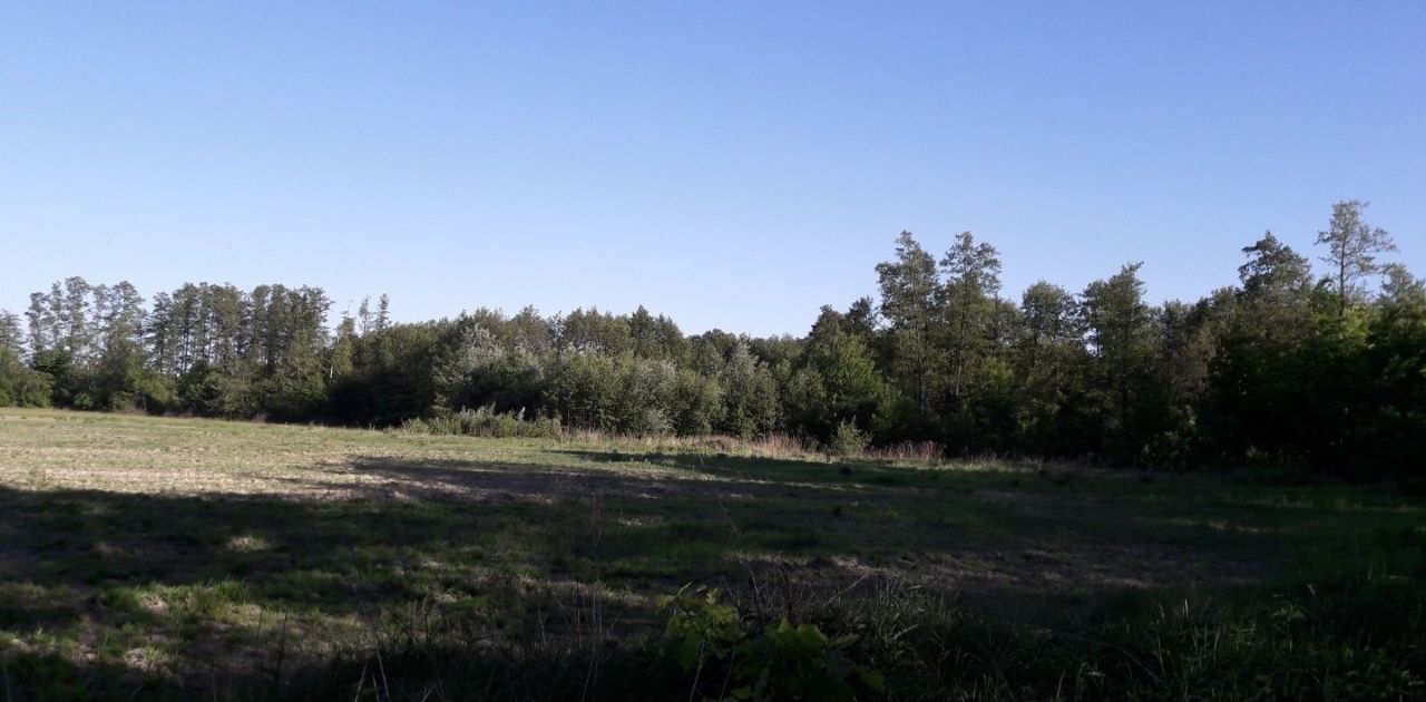 Działka budowlana Książenice, al. Olszowa