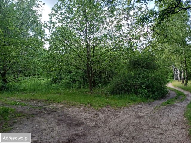 Działka budowlana Łódź Arturówek. Zdjęcie 1