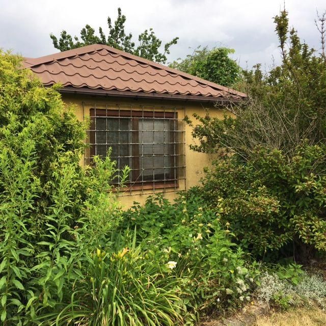 Działka rod Wrocław Stare Miasto, ul. Góralska. Zdjęcie 12