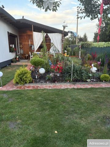 Działka rod Skierniewice. Zdjęcie 1