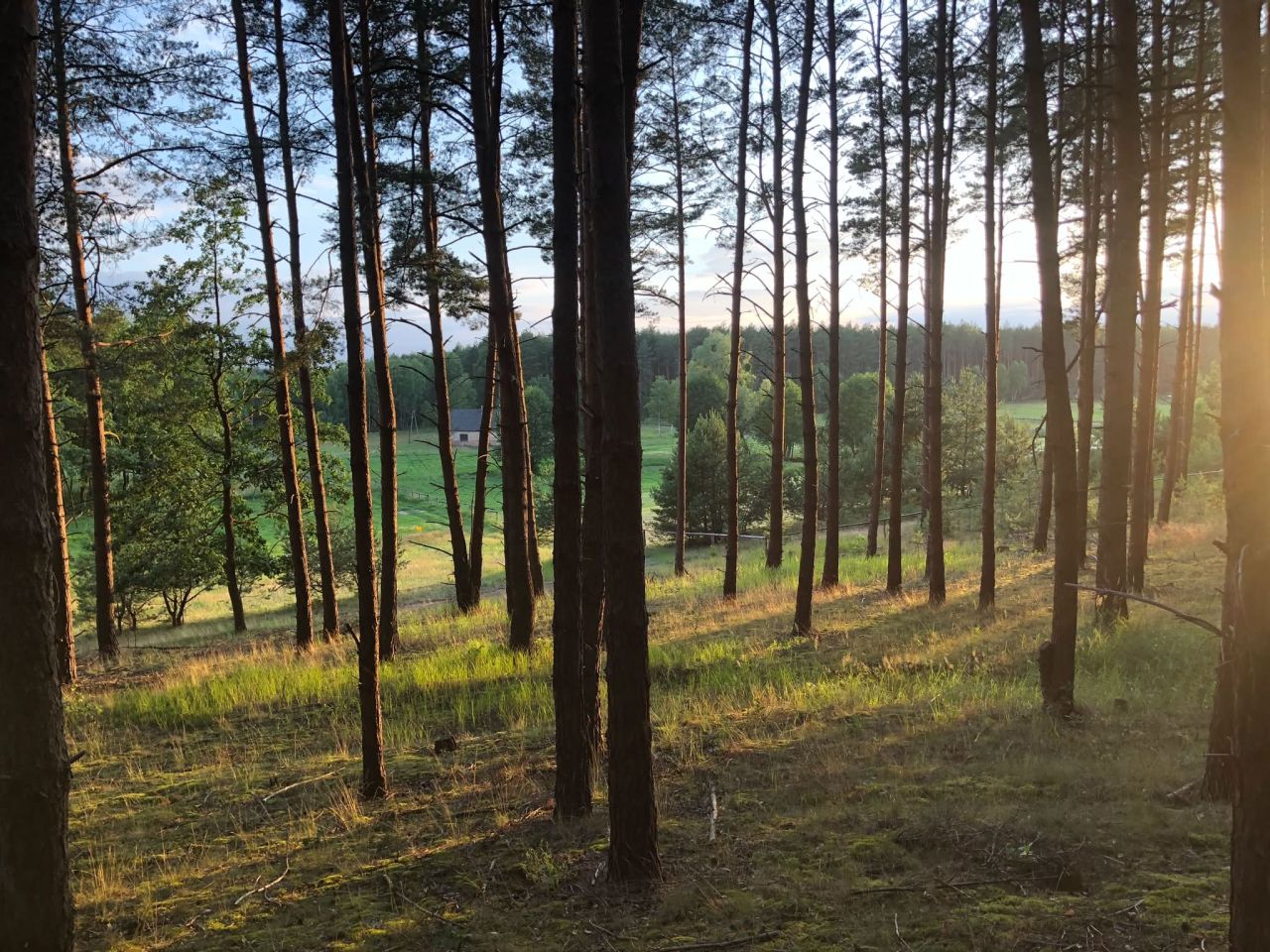 Działka budowlana Pąchy, Pąchy. Zdjęcie 7
