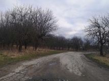 Działka rolno-budowlana Nadbrzeż. Zdjęcie 2