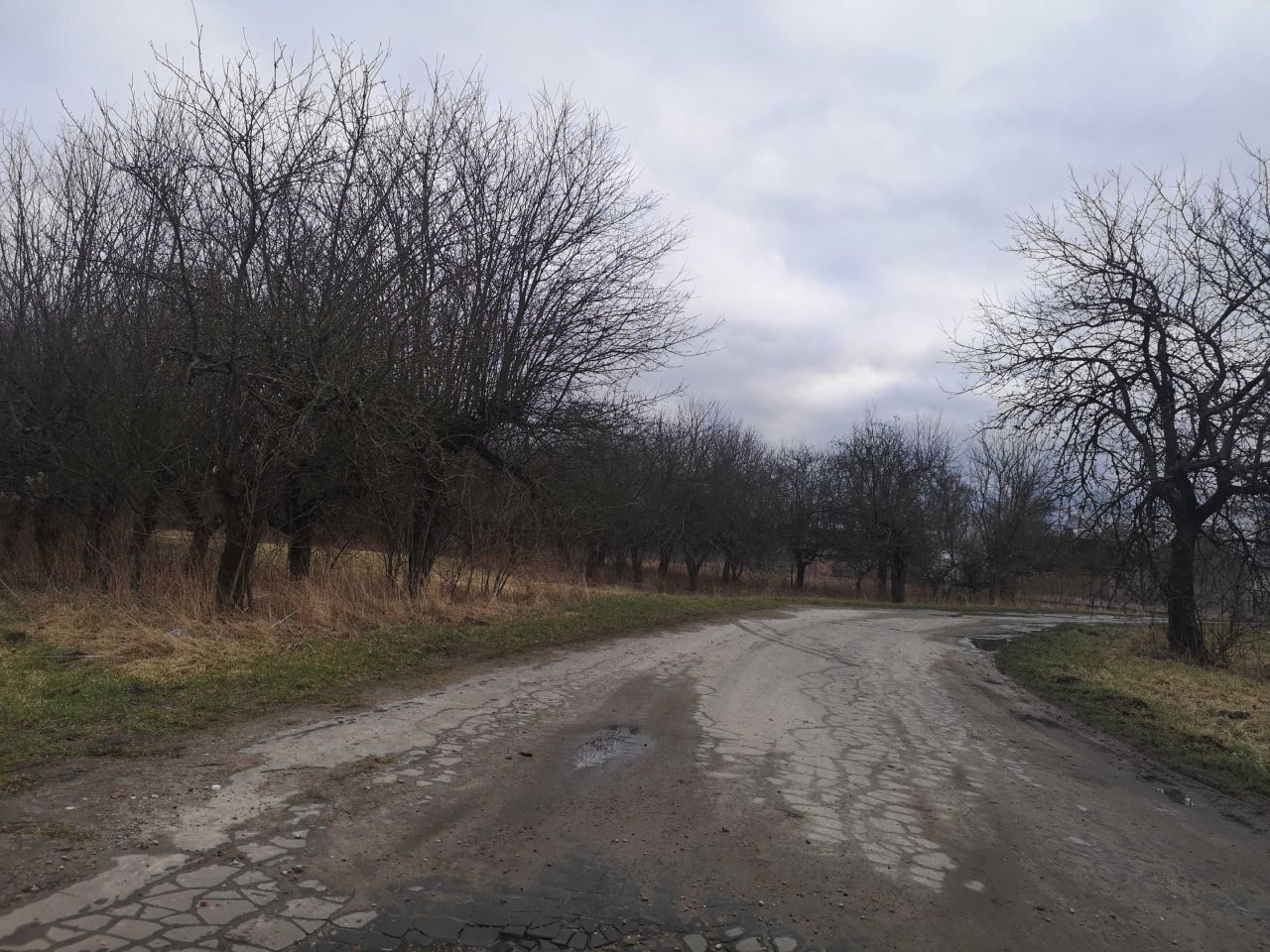 Działka rolno-budowlana Nadbrzeż. Zdjęcie 3