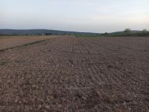 Działka rolna Nowy Skoszyn. Zdjęcie 3