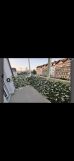 Mieszkanie 3-pokojowe Koszalin Centrum, ul. Wenedów. Zdjęcie 1