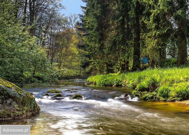Działka budowlana Barcinek. Zdjęcie 1