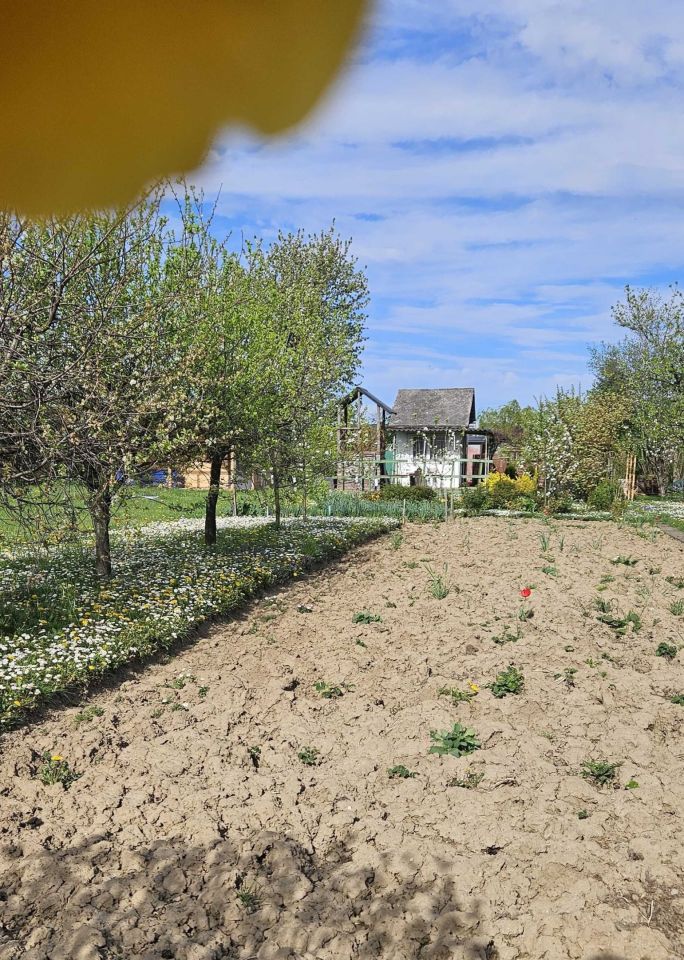 Działka rod Dębica, ul. 1 Maja. Zdjęcie 3