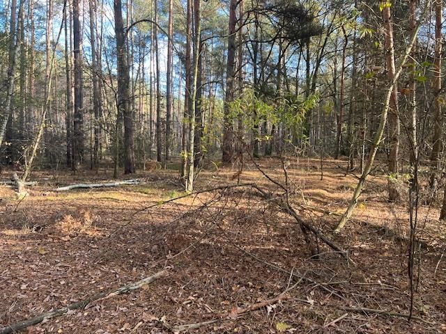 Działka leśna Stara Huta. Zdjęcie 12