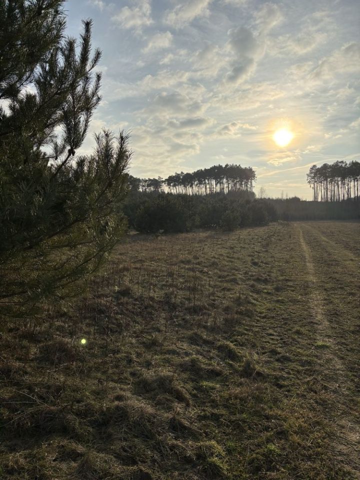 Działka rekreacyjna Wola Brwileńska. Zdjęcie 2