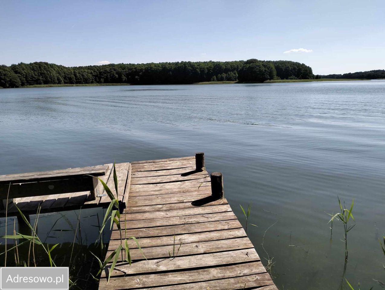 Działka rekreacyjna Krągi. Zdjęcie 8