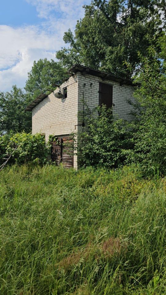 siedlisko, 3 pokoje Wólka Orłowska. Zdjęcie 12