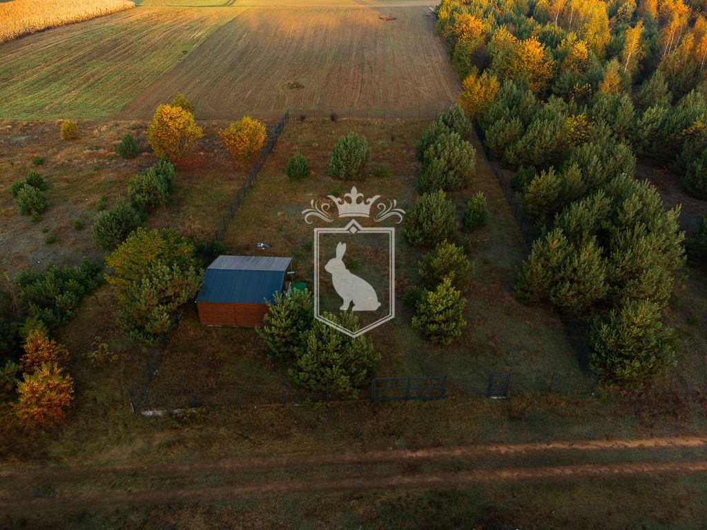 Działka budowlana Gnojno. Zdjęcie 3