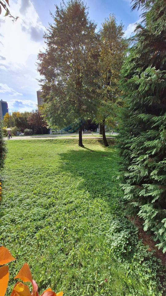 Mieszkanie 2-pokojowe Wodzisław Śląski, os. XXX-lecia PRL. Zdjęcie 16