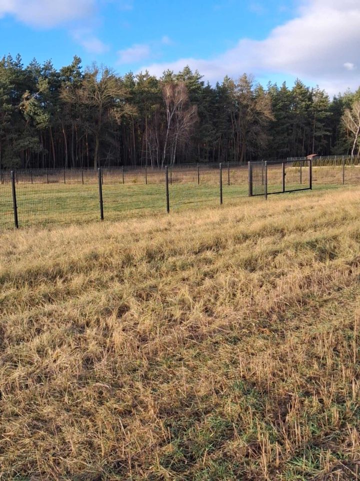 Działka budowlana Zosinki. Zdjęcie 7