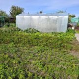 Działka rod Sztum, ul. Kasprowicza. Zdjęcie 3