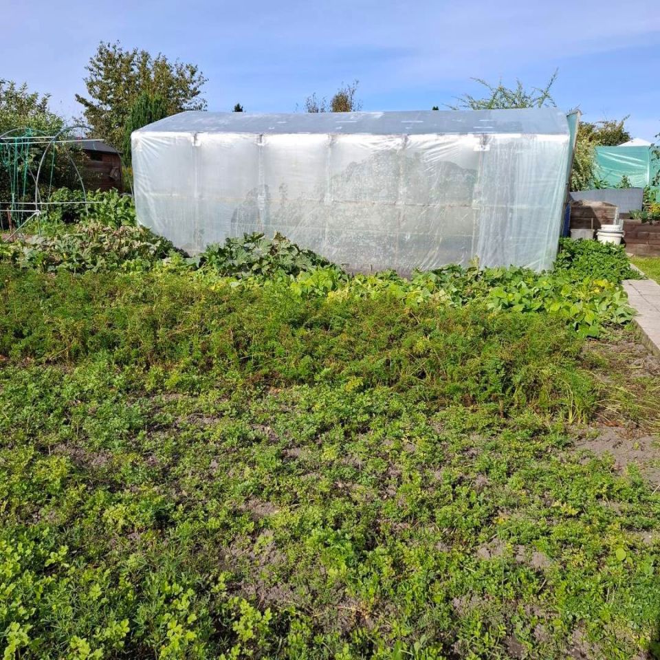 Działka rod Sztum, ul. Kasprowicza. Zdjęcie 4