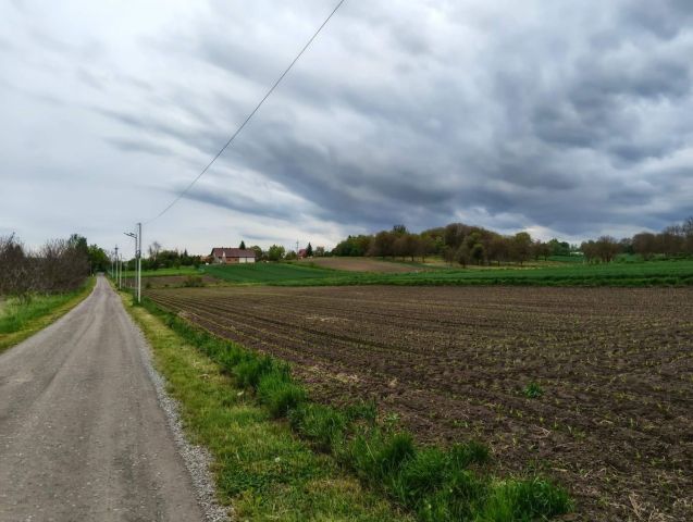 Działka budowlana Siennów. Zdjęcie 1