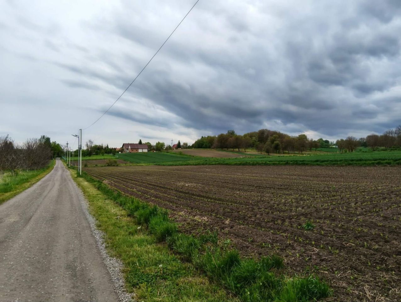 Działka budowlana Siennów. Zdjęcie 1
