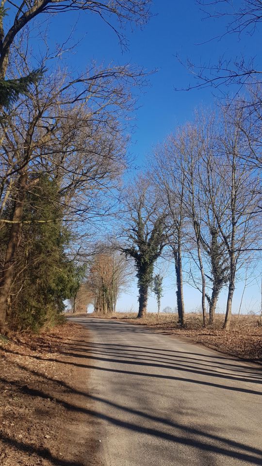 Działka rolna Dargikowo. Zdjęcie 3