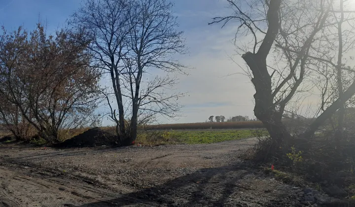 Działka siedliskowa Kębłowice, ul. Przelotowa