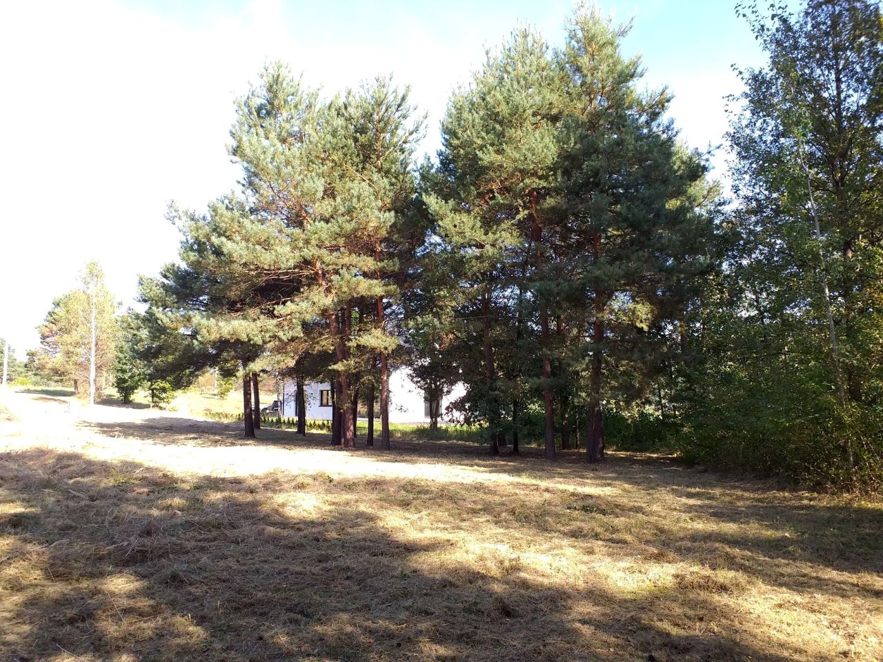 Działka budowlana Bolmin. Zdjęcie 7