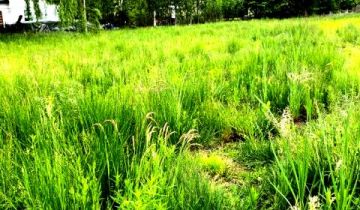 Działka budowlana Stara Wieś