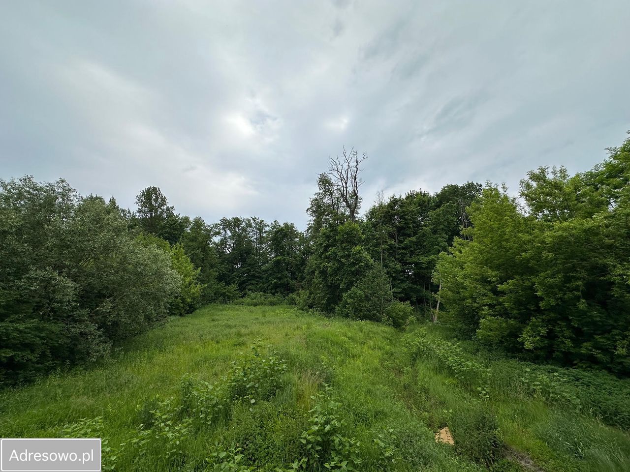 dom wolnostojący, 6 pokoi Kacice. Zdjęcie 6