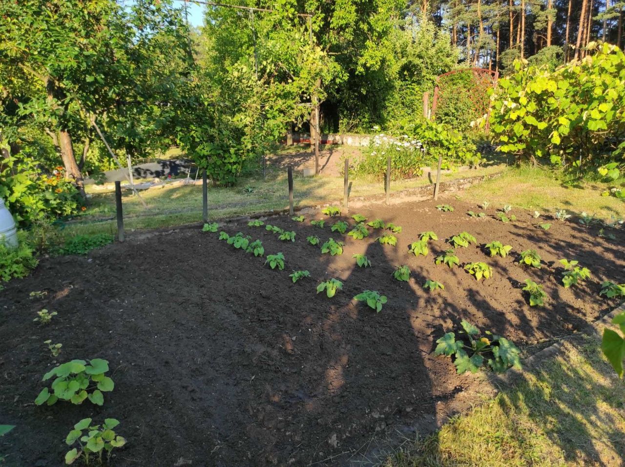 Działka rod Wilkanowo. Zdjęcie 8