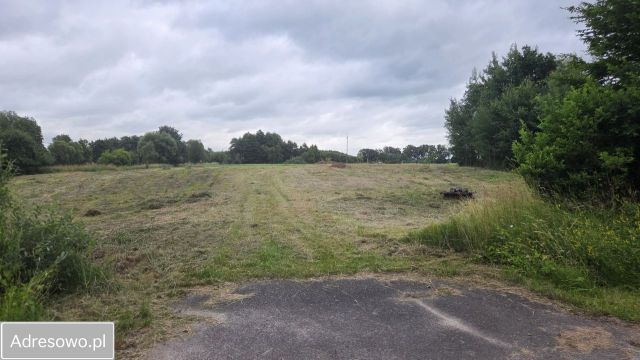 Działka siedliskowa Młynarska Wola. Zdjęcie 1